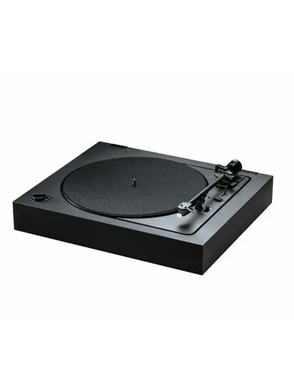 Vinyl Record Players and Accessories