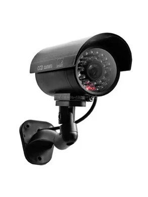 Video Surveillance Cameras