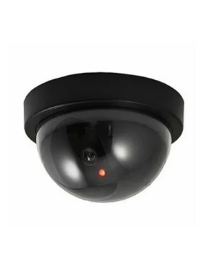 Dummy Surveillance Cameras