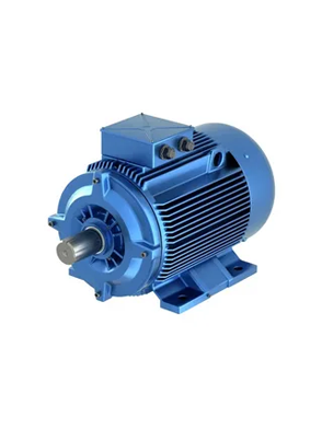 Industrial Electric Motors